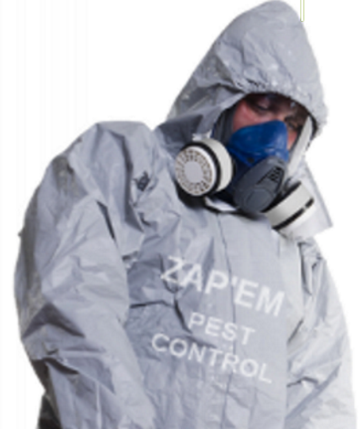 Zapem Pest Control London