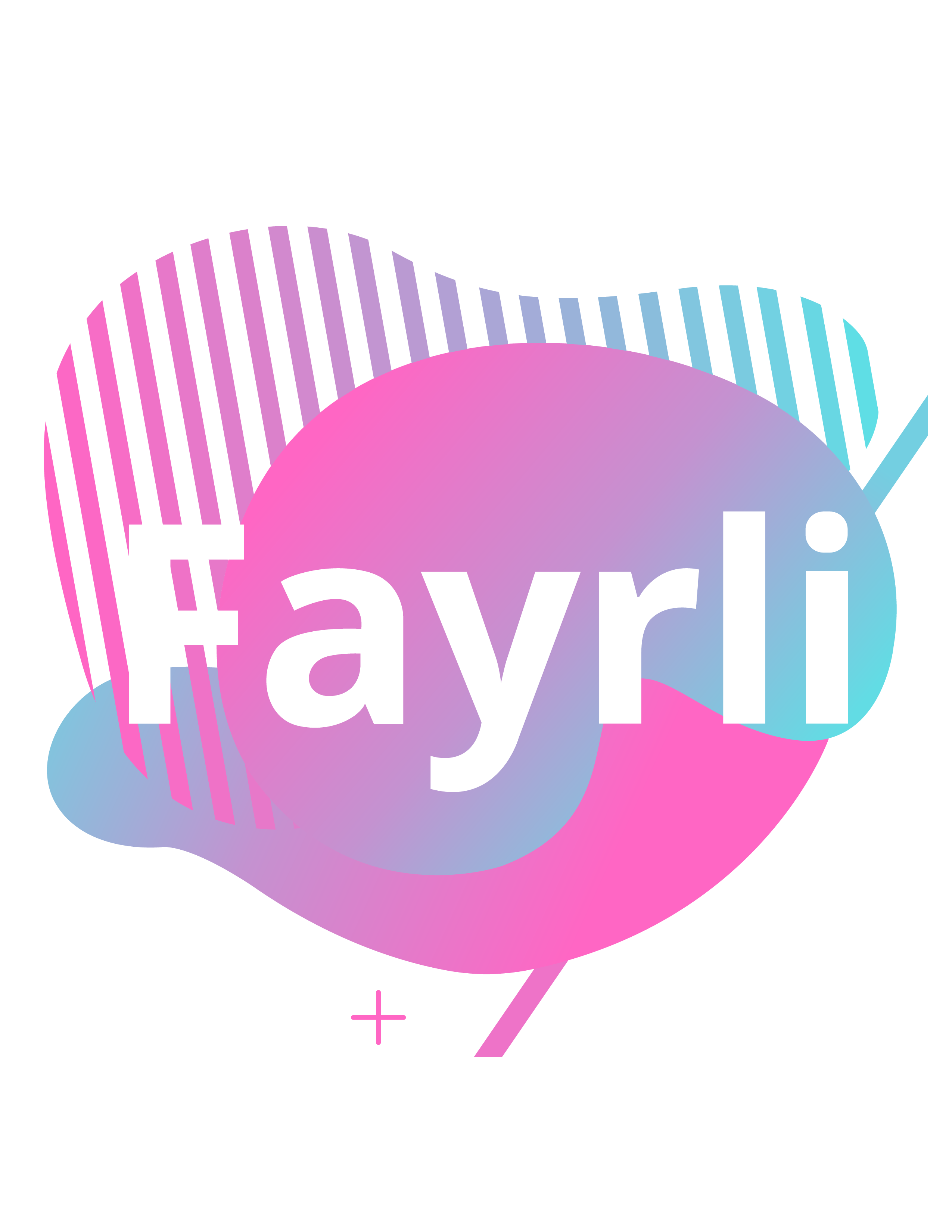 Fayrli Ltd