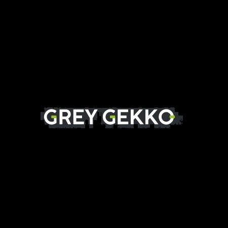 Grey Gekko