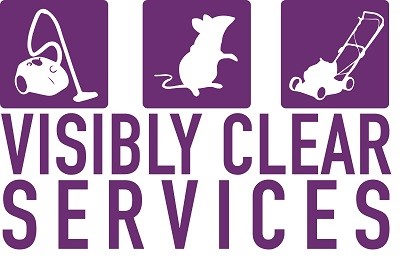 Visibly Clear Services Ltd