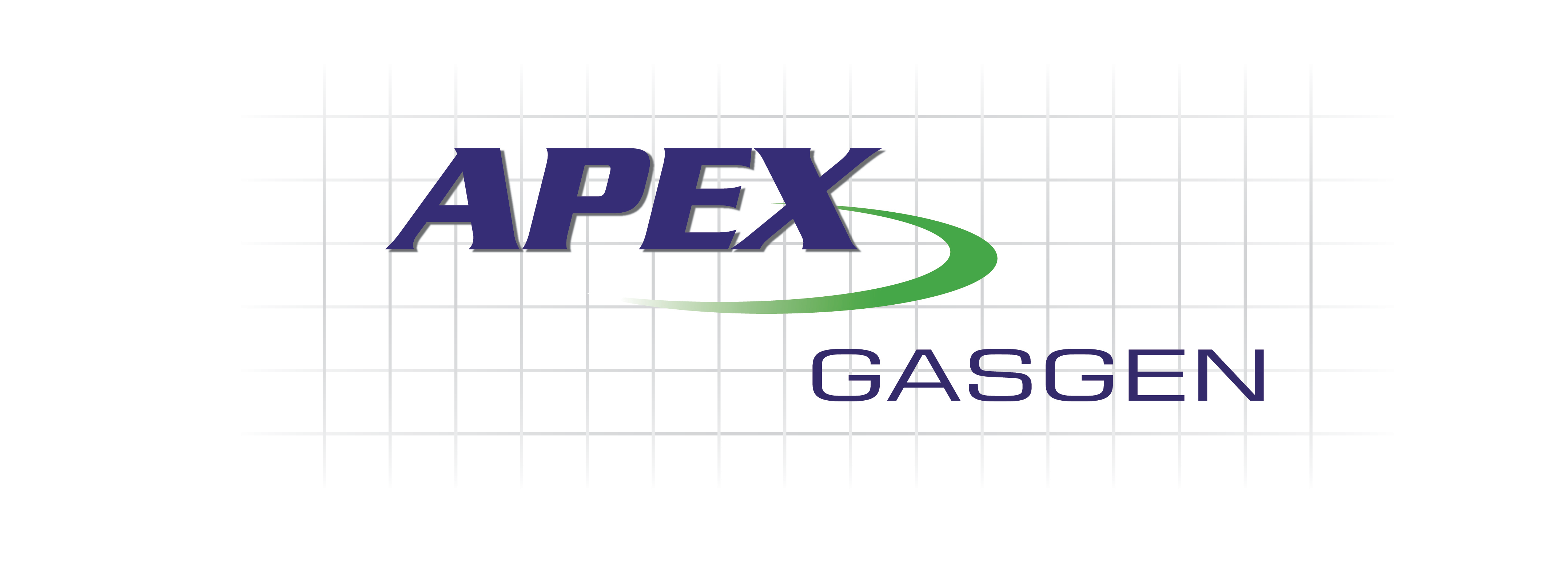 Apex Gasgen Ltd