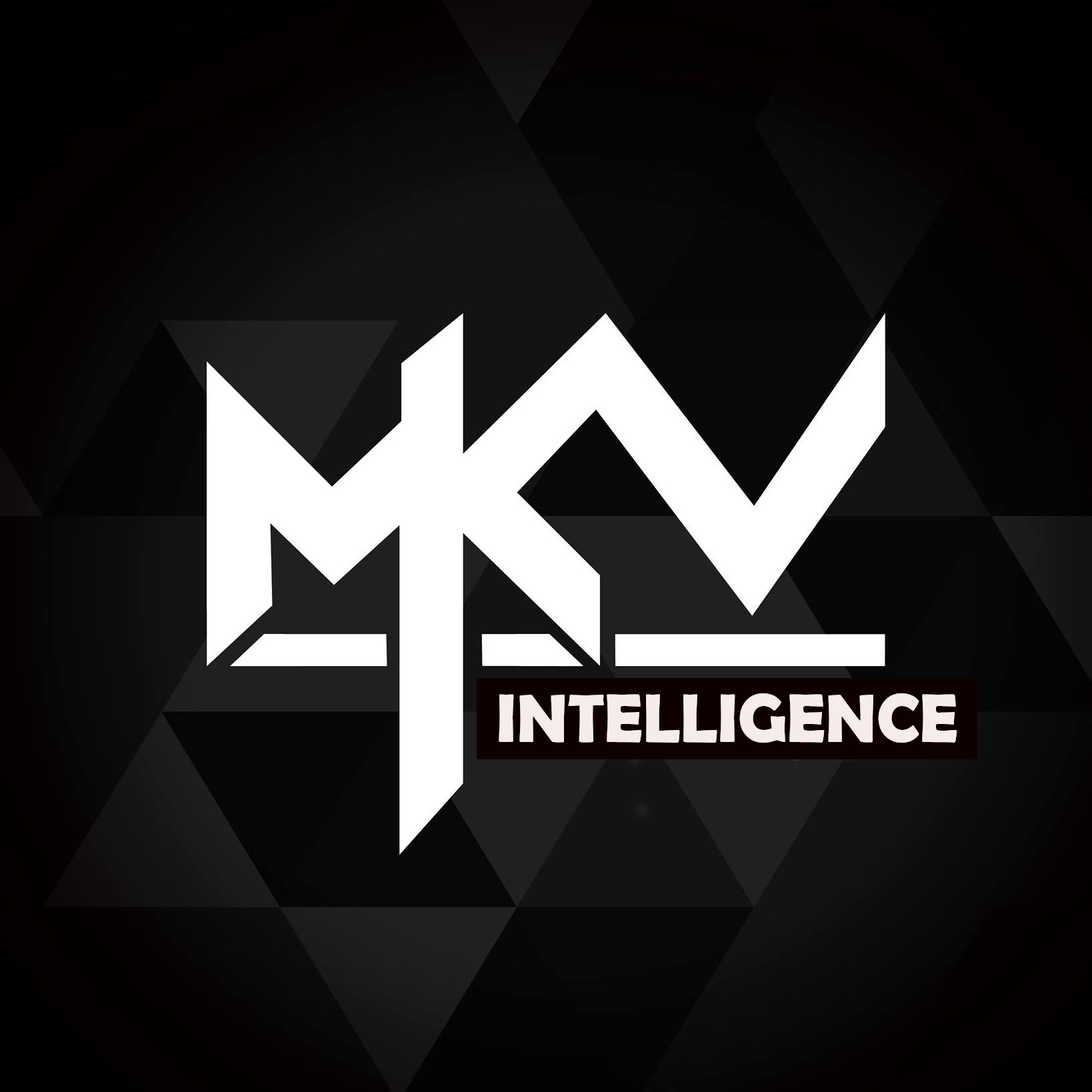 Makarov Intelligence Limited