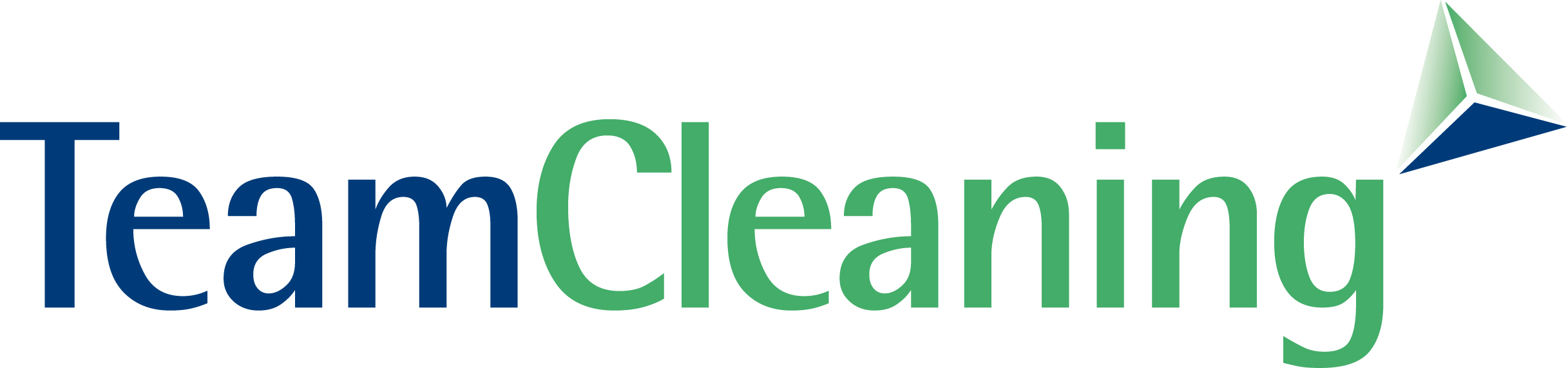 TeamCleaning