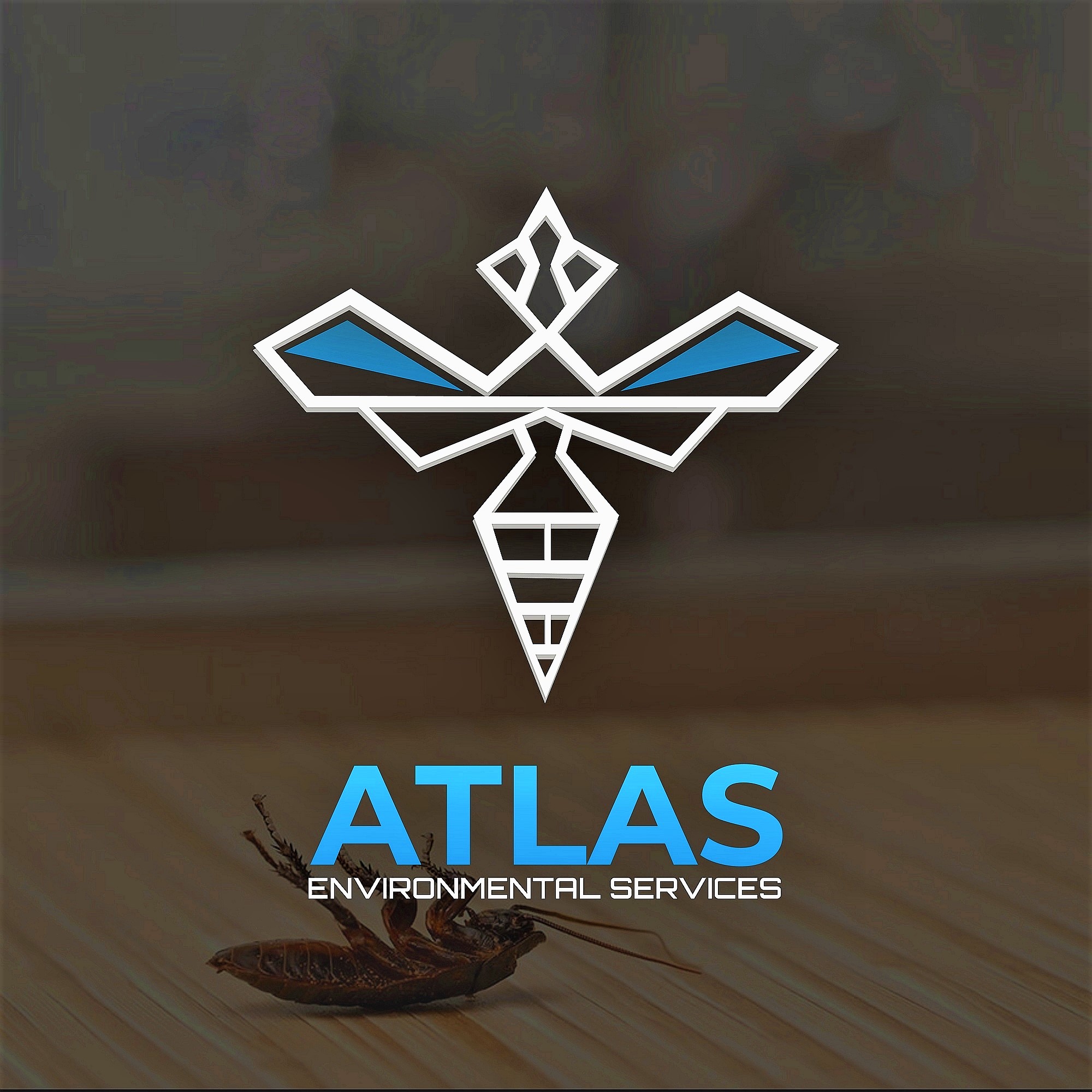 Atlas Environmental Services Ltd