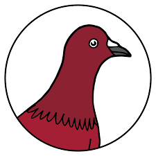 Red Pigeon Media