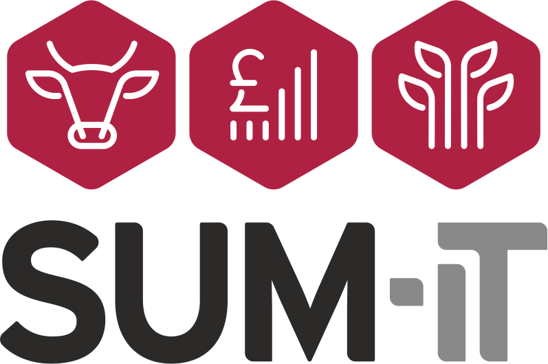 SUM-IT Computer Systems Ltd