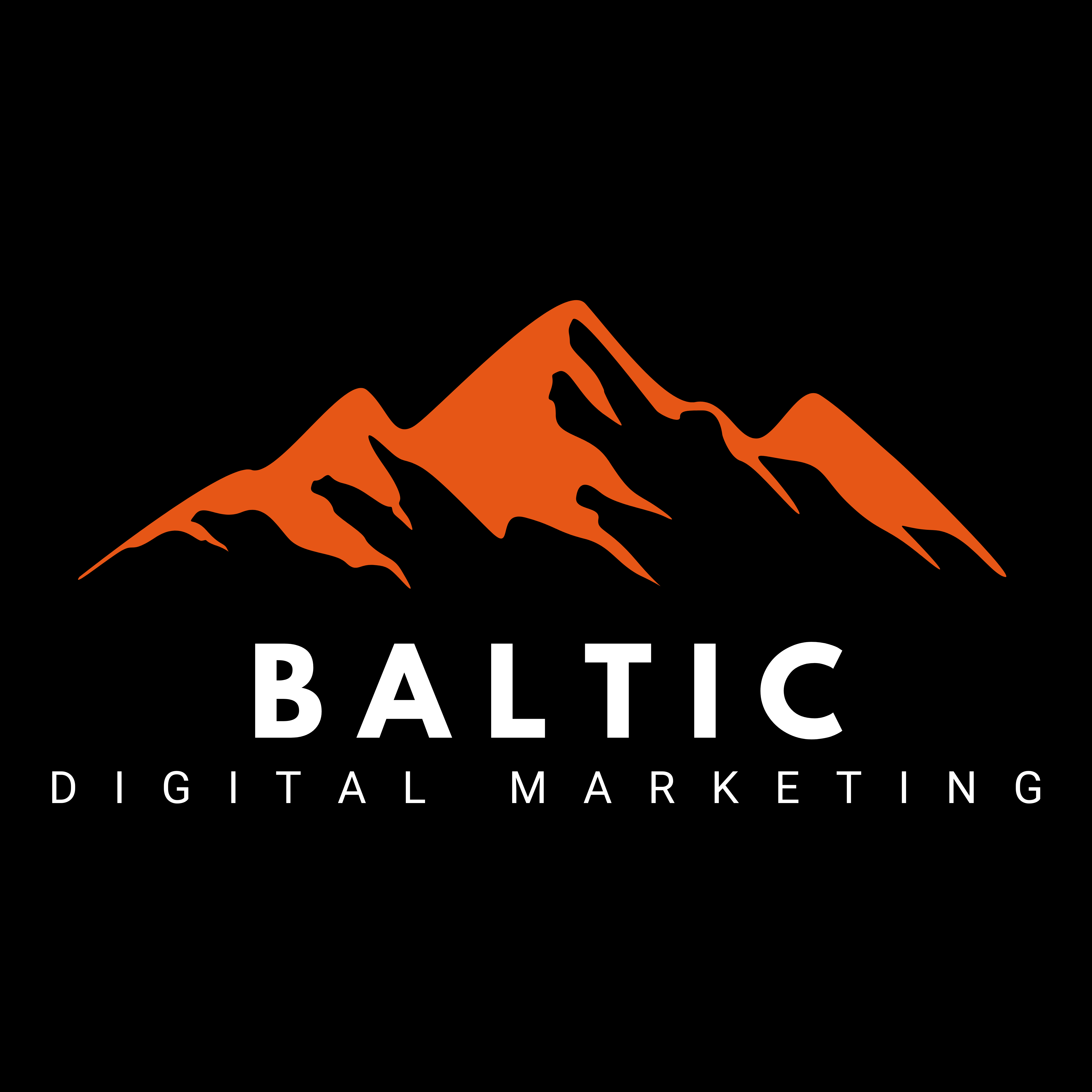 Baltic Digital Marketing