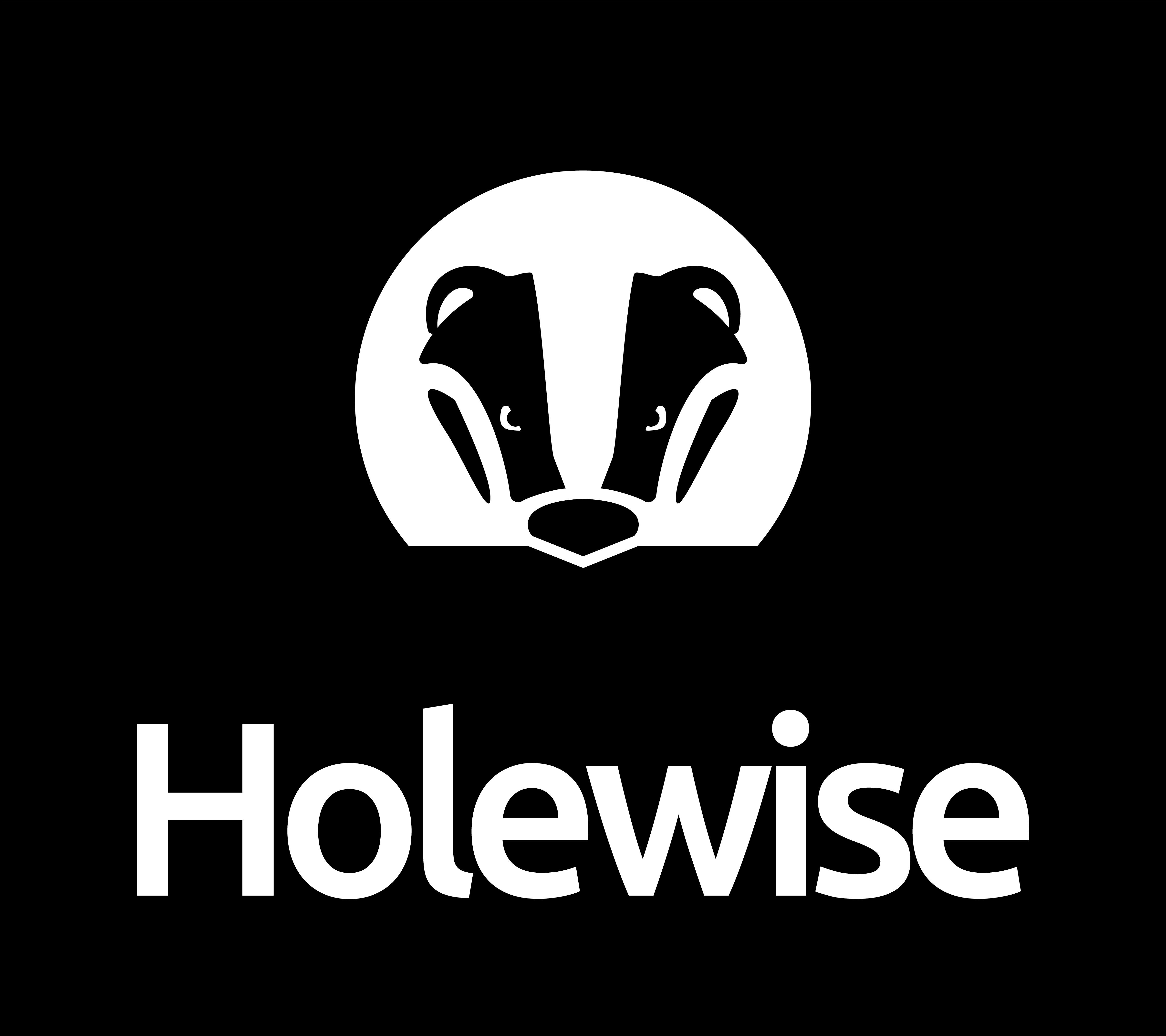 Holewise