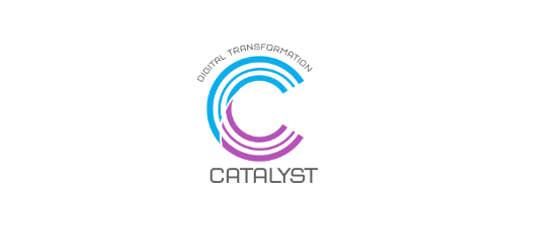 Digital Transformation Catalyst