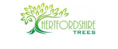 Hertfordshire Trees