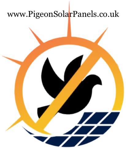 Pigeon Solar Panels 