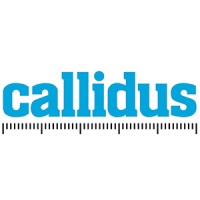 Callidus Surveys