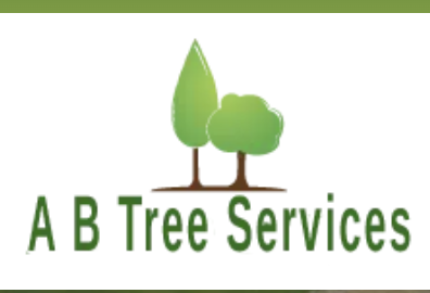 AB Tree Surgery Logo