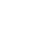 Viking Arms Police & Military Division