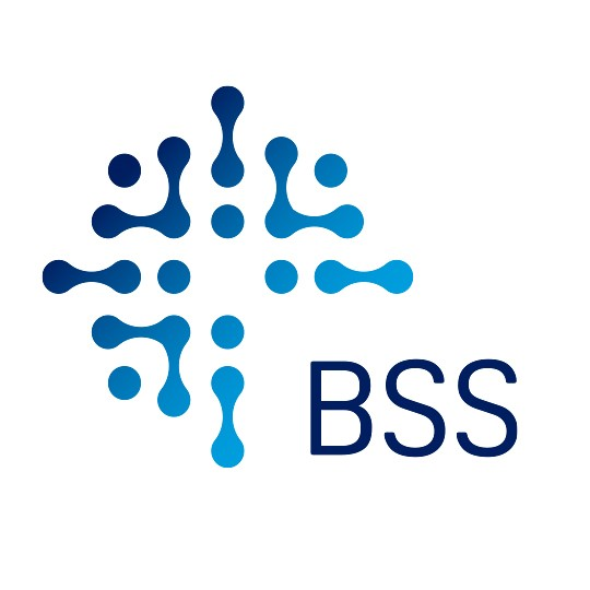 Bespoke Support Solutions Ltd