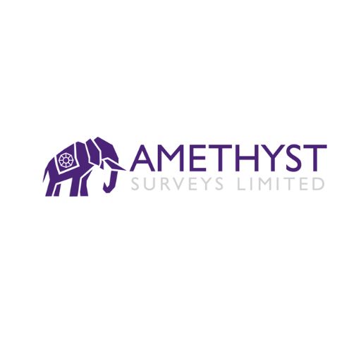 Amethyst Surveys Ltd