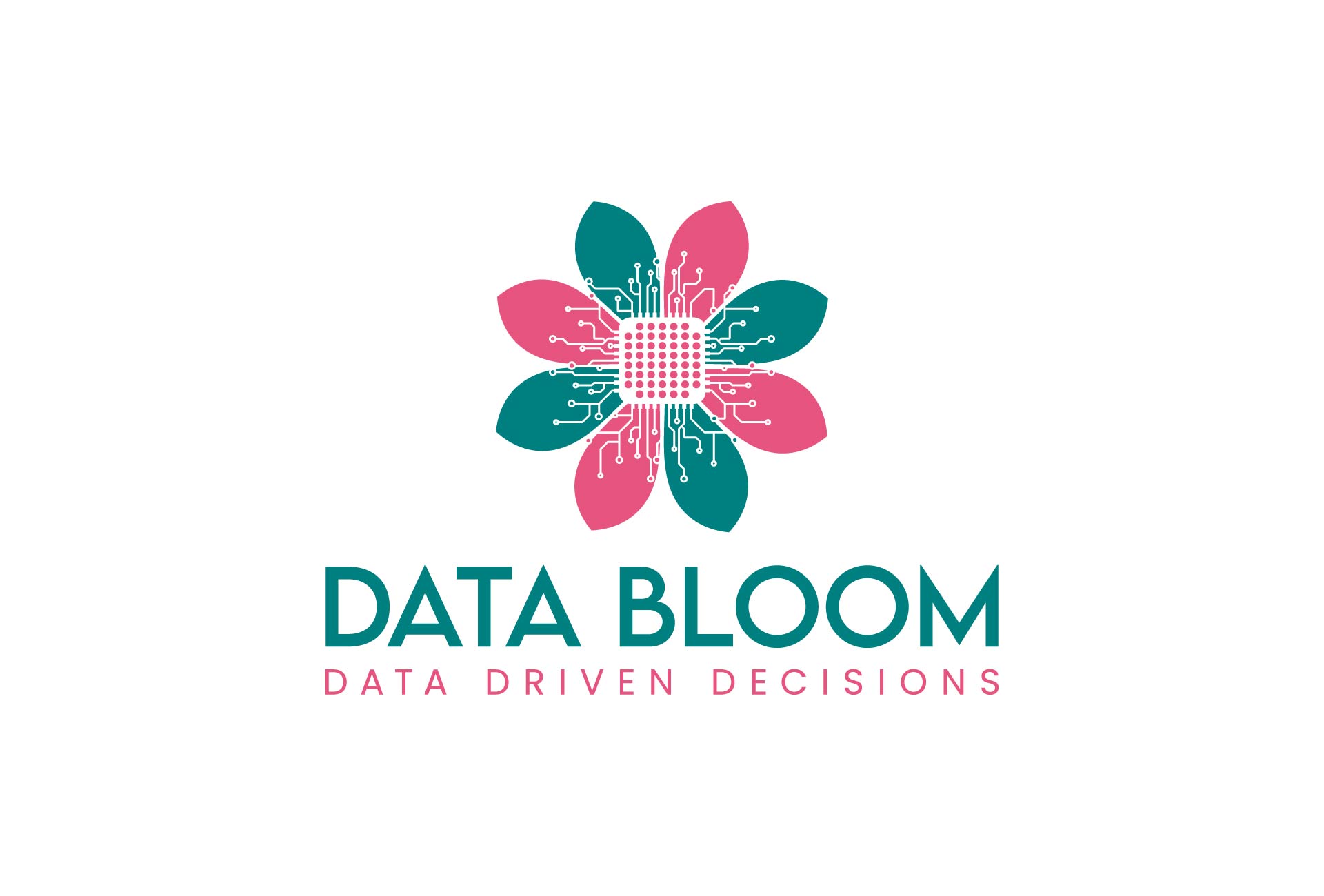 Data Bloom Business Support