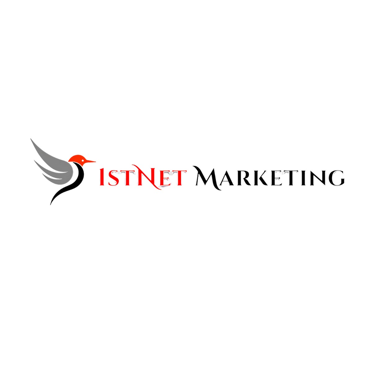 1stNet Marketing PVT