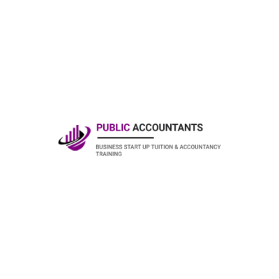 Public Accountants