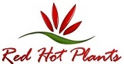 Red Hot Artificial Plants